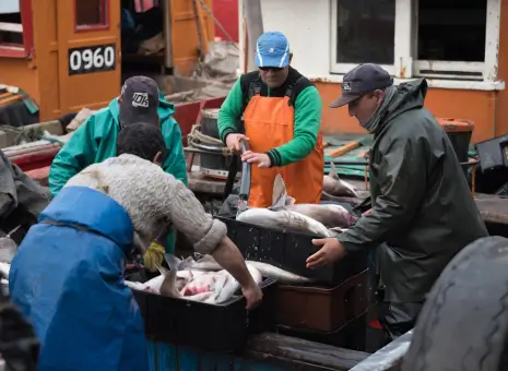 Development of Fisheries in Saline and Brackish Waters of the Southern Zone of Punjab