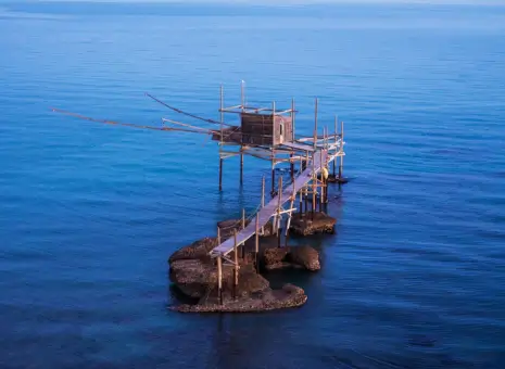 Mass Motivation Campaign for promotion of Fisheries/ Aquaculture in Punjab