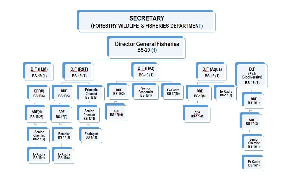 Organizational Structure - Forestry Wildlife & Fisheries Department