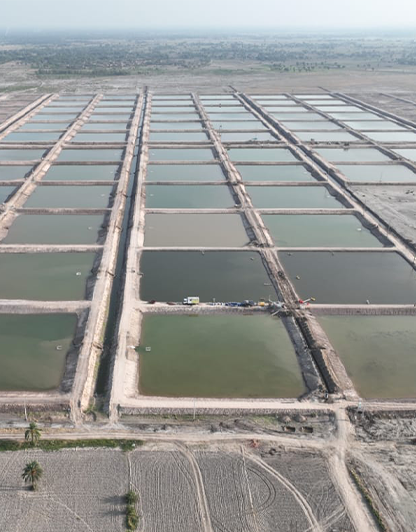 Aquaculture: Shrimp Farming in Punjab (2024-28)