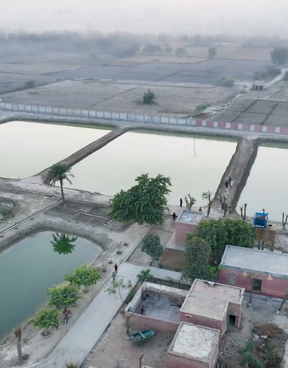 Establishment of Hatchery Facilities for Pangasius and other High Value Fish Species (2024-27)