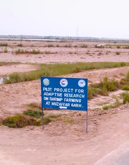 Pilot Shrimp Farming Cluster Development Project (2019-24)