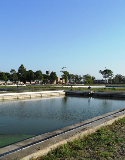 Rehabilitation of Site-B of Chashma Fisheries Complex to Enhance Fish Seed Rearing Capacity (2021-24)