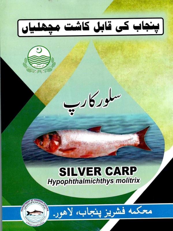 Silver Carp (Hypophthalmichthys molitrix) Farming Guide