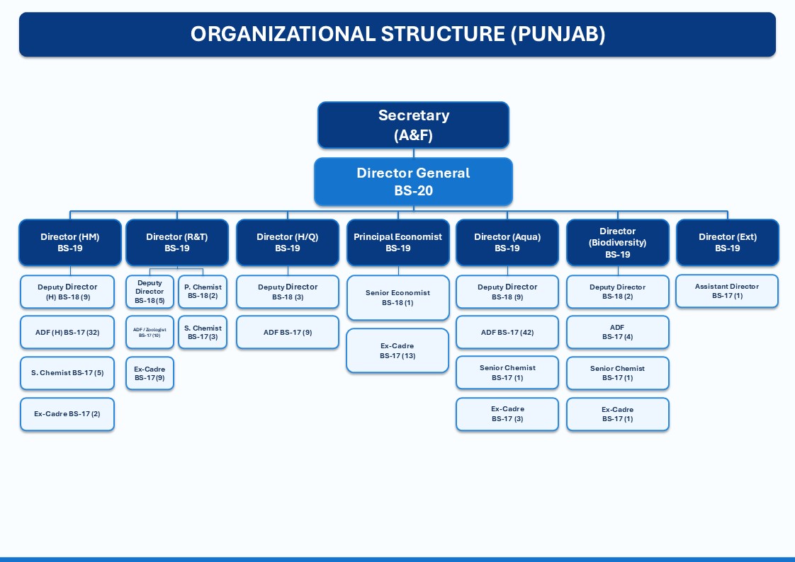 Organizational Structure - Aquaculture & Fisheries Department