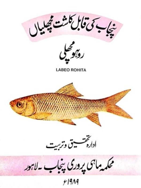 Punajb Culturable Fish Species Labeo Rohita